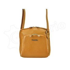 Жіноча шкіряна сумка Patrizia 04-001