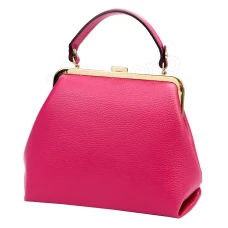 Женская кожаная сумка Luka 24-024 DOLLARO