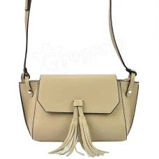 Жіноча шкіряна сумка Patrizia 419-025