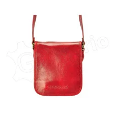 Жіноча шкіряна сумка Gregorio 855T Жіноча шкіряна сумка Gregorio 855T