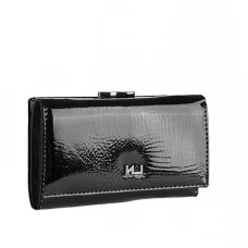 Женский кожаный кошелек Elizabet Canard AR-55020-RS