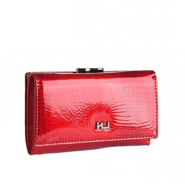 Женский кожаный кошелек Elizabet Canard AR-55020-RS