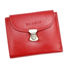 Жіночий шкіряний гаманець Rovicky R-RD-39-GCL