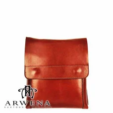 Чоловіча шкіряна сумка S0279