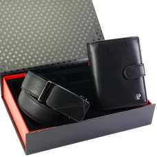 Подарочный набор Pierre Cardin ZG-210-BA