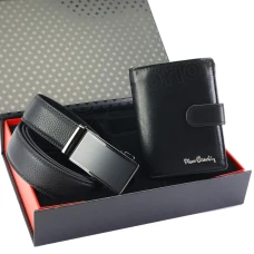 Подарочный набор Pierre Cardin ZG-211-BA