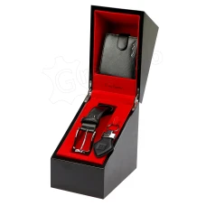 Подарочный набор Pierre Cardin ZG-220 PREMIUM VIP