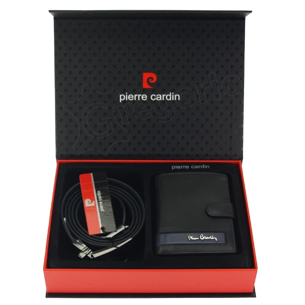 Подарочный набор Pierre Cardin ZG-87